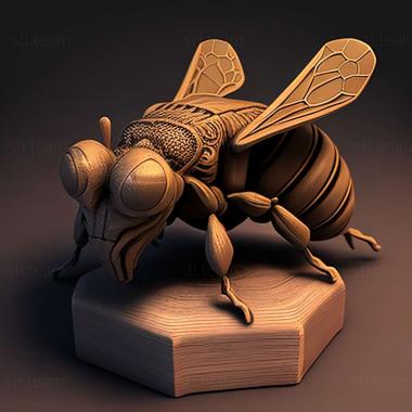 3D модель Colletes alocochila (STL)